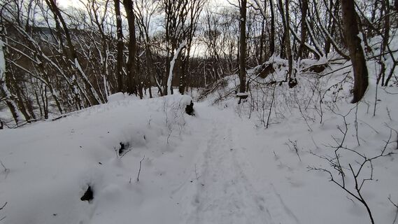 Foto von György Répássy Dr. entlang der Tour