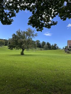 Foto von Cyrill Bischof entlang der Tour