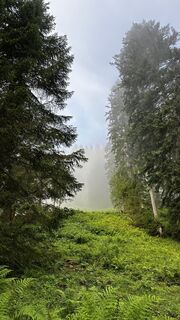 Fotografie z TheNuts13 na trase
