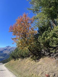 Foto von Sandro Lasen entlang der Tour