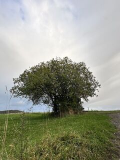 Foto von Sara B entlang der Tour