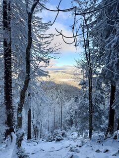 Fotografia z Jockel Zimmermann na trase