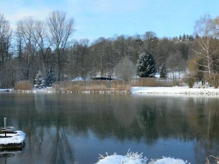 Erlensee im Winter