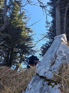 Foto de GAdamec a lo largo del recorrido