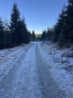 Photo de Alfred Weber le long du parcours