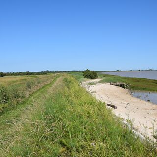 Boucle de l'Estuaire@medoc-atlantique-tourisme_0138