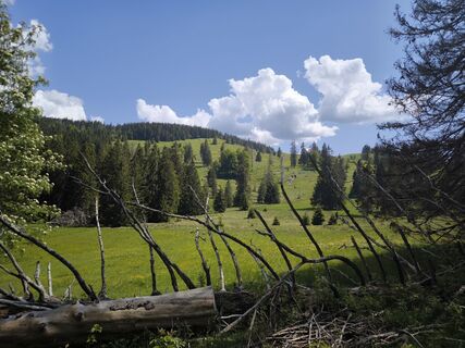 Foto von Dietmar Lüdenscheid ? entlang der Tour