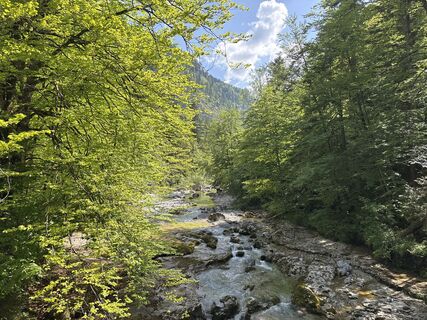 Foto von Heinz Sperl entlang der Tour