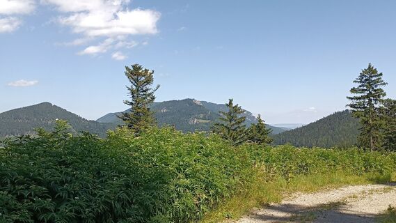 Foto von Bergpirat entlang der Tour