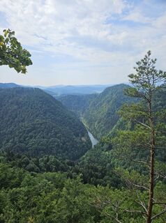Fotografia z Whitney Dreams na trase
