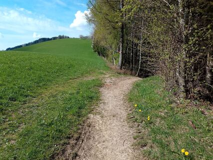 Foto de Lisa Pimminger 1 a lo largo del recorrido