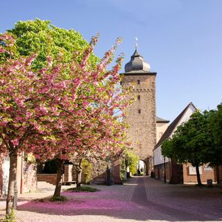 Karlsruhe-Durlach: Basler Tor im Frühling