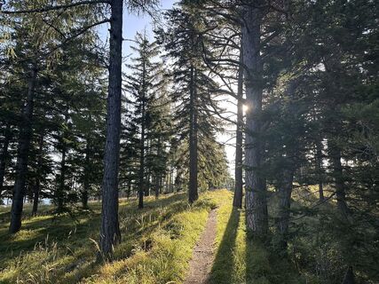 Fotografija s spletne strani Corporal Flashback na poti