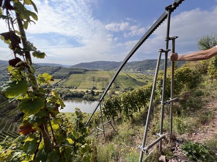 Fotografia z Anke Regitz na trase