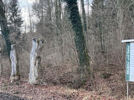 Fotografie z Eike Held na trase