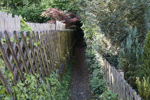 Einstieg in die Wanderung Richtung Meersburg in der Bergstraße - schmaler Pfad