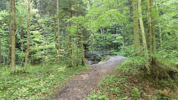 Foto von WilliSt entlang der Tour