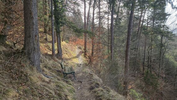 Fotografija s spletne strani w.heiss na poti