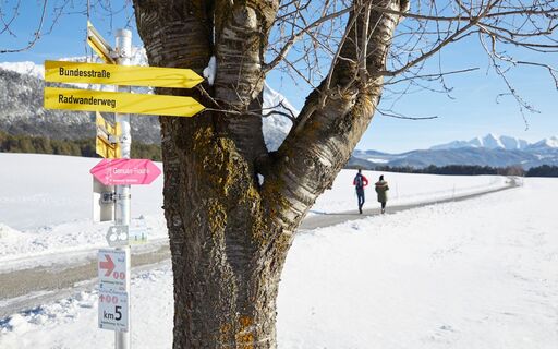 2019_014.jpg