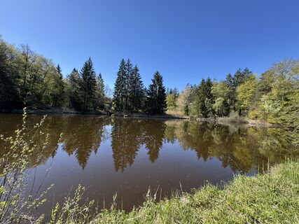 Foto von Denise Miller entlang der Tour