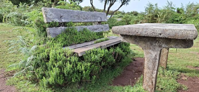 Photo de Petra Poslusny le long du parcours
