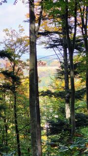 Photo de Hubert Sellnar le long du parcours