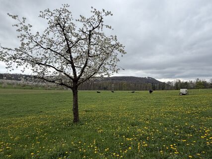 Foto von Astrid entlang der Tour