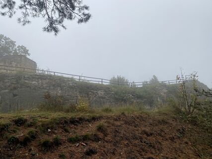 Photo de Pauline Pietsch le long du parcours