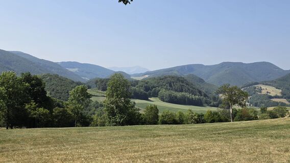 Foto von fschwarzenberger entlang der Tour