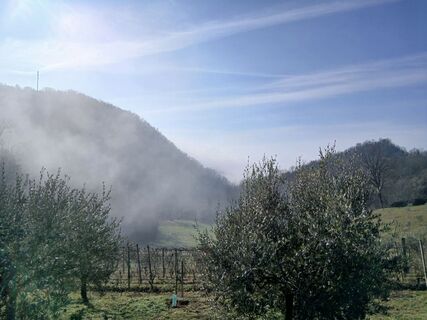 Foto von Luca Dainese entlang der Tour