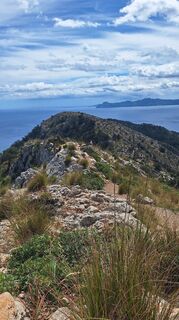 Foto de Regina Fleischmann a lo largo del recorrido
