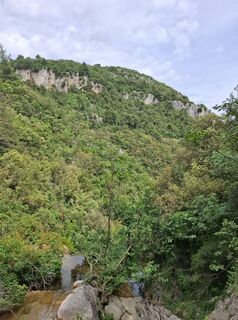 Fotografija s spletne strani nordbergschnecke na poti