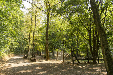 Wildpark Saarbrücken