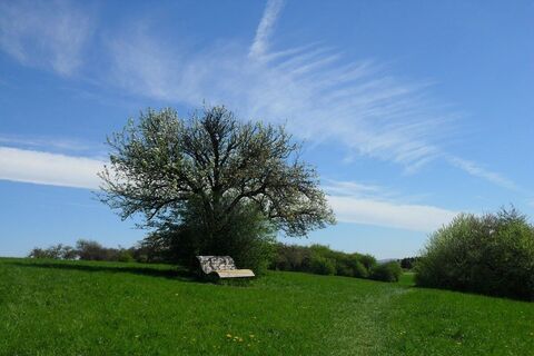 Sinnenbank mit Aussicht
