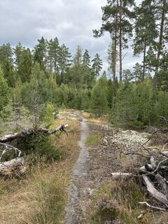 Photo de Jako Koel le long du parcours