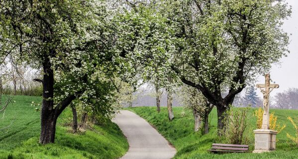 Wegkreuze und Bildstöcke, Neibsheim