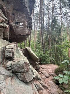 Photo de Christian Hennekeusee le long du parcours