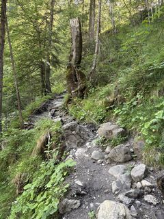 Foto von Jutta Schilling entlang der Tour