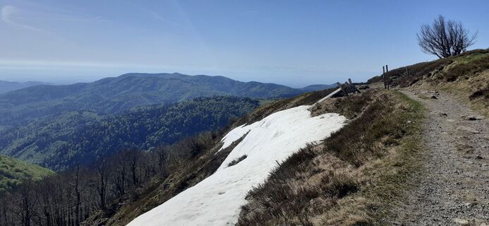Photo de Bernard Piat le long du parcours