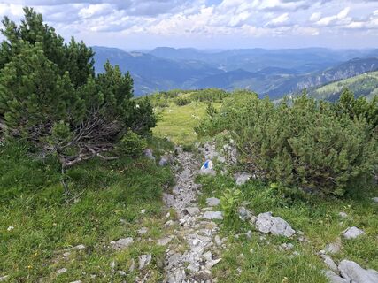 Photo de Peter Traxler 1 le long du parcours