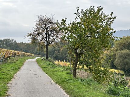 Fotografija s spletne strani Norbert Herbig na poti