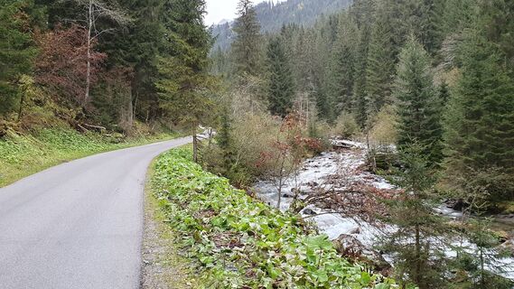 7.6 km Links des Debantbachs