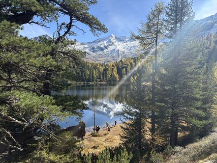 Fotografija s spletne strani Stefka Köfler na poti