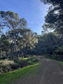 Foto från Hanna Sommersacher under resans gång