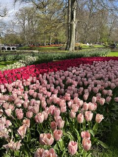 Fotografie de la Silvia Hollenstein de-a lungul turului