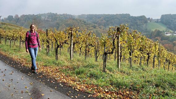 Wir wandern am Höhenrücken entlang