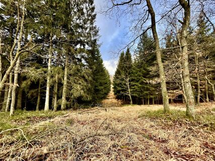 Foto von Les aventures de Ghislain entlang der Tour