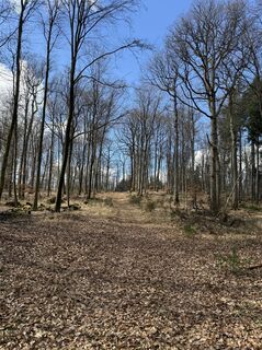 Foto von Benedikt Pracht entlang der Tour