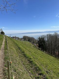 Fotografia z Cyrill Bischof na trase