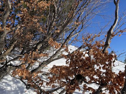 Fotó a Heinz Sperl honlapról a túra során